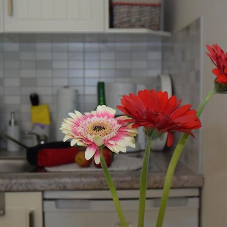 Ferienapartments Urlaub Und Meer Kuhlungsborn Ruang foto