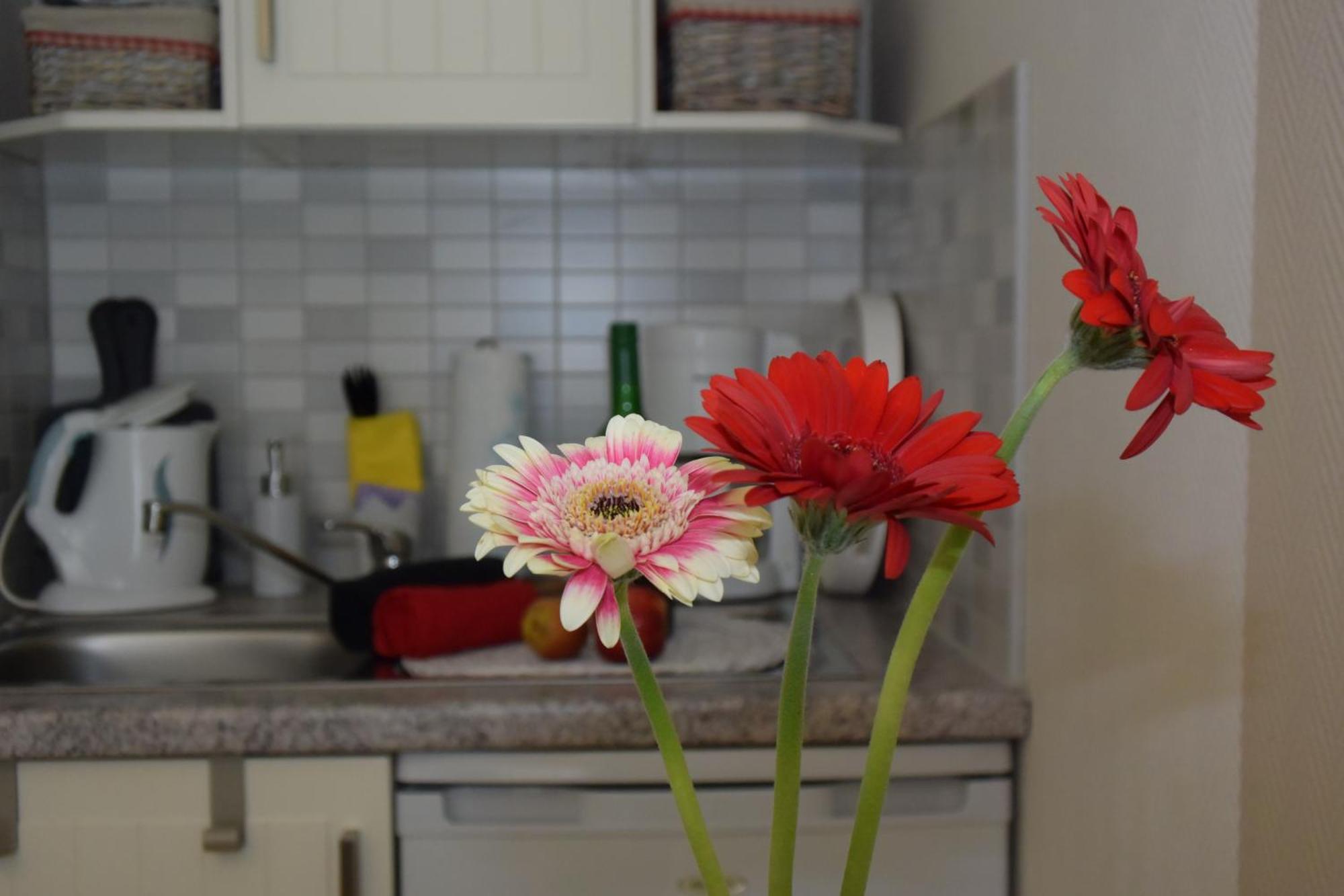 Ferienapartments Urlaub Und Meer Kuhlungsborn Ruang foto